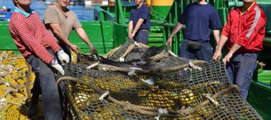 En Chile: Protección de zonas marinas de interés