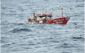 Fipes pide evitar blanqueo de la pesca ilegal ante conflicto por la reineta