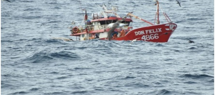 Fipes pide evitar blanqueo de la pesca ilegal ante conflicto por la reineta